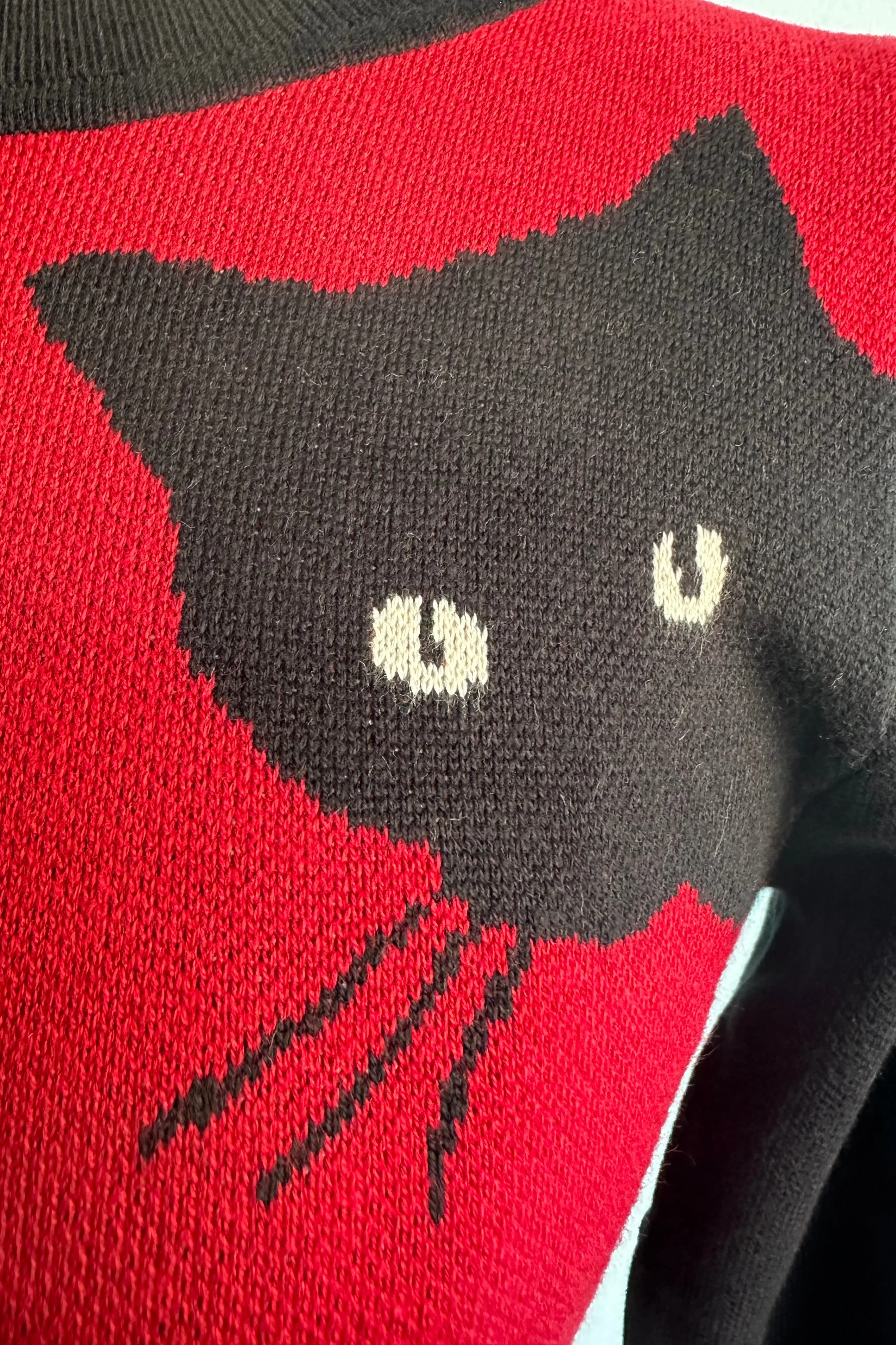 Burgundy and Black Cat Pullover Sweater