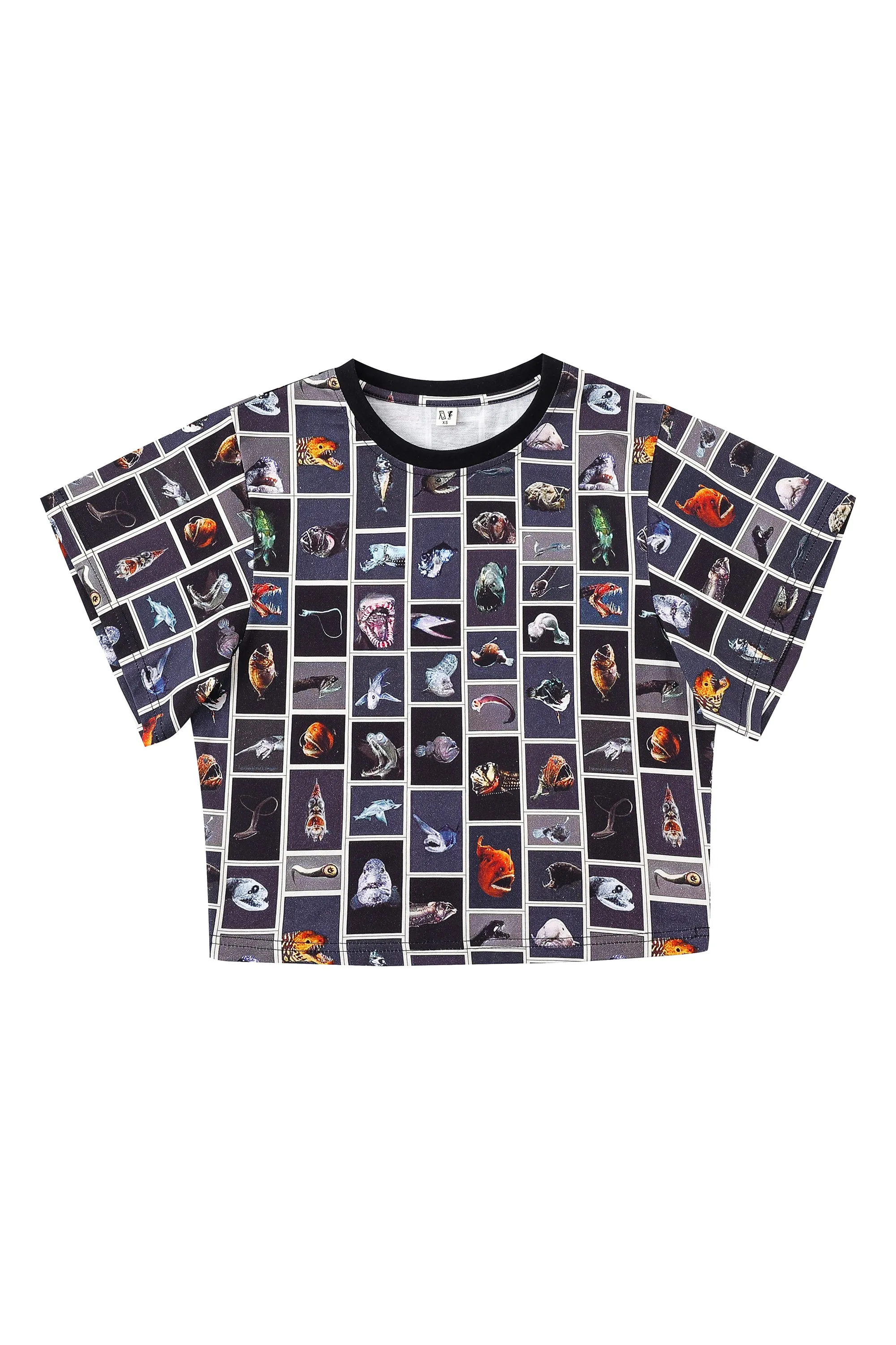 Cuter Fish Tommy Tee WIDER PRINT