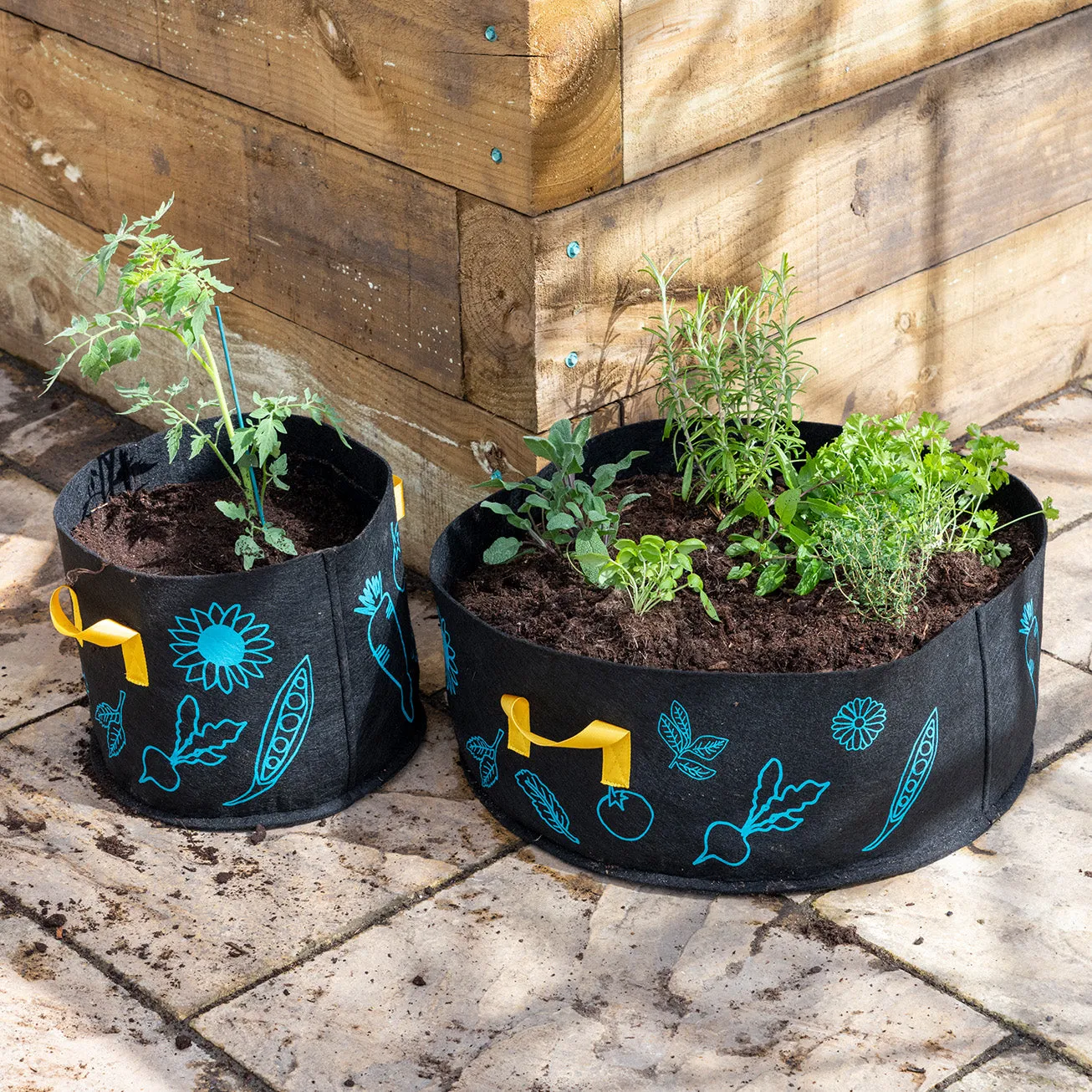 Outdoor Planter, Large - RHS Growing Gardeners