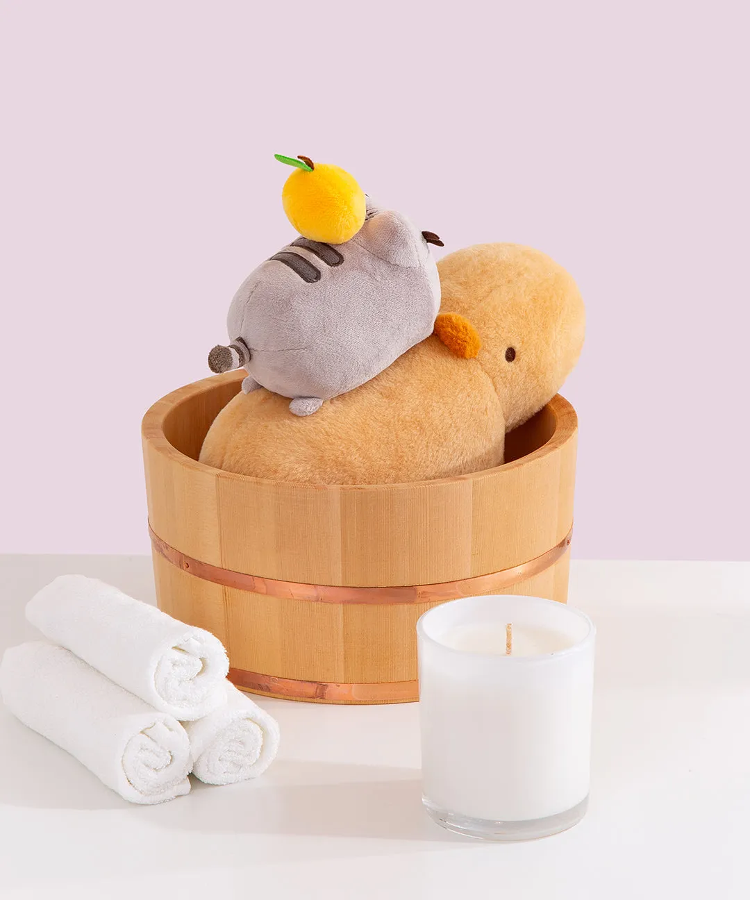 Pusheen & Capybara Plush