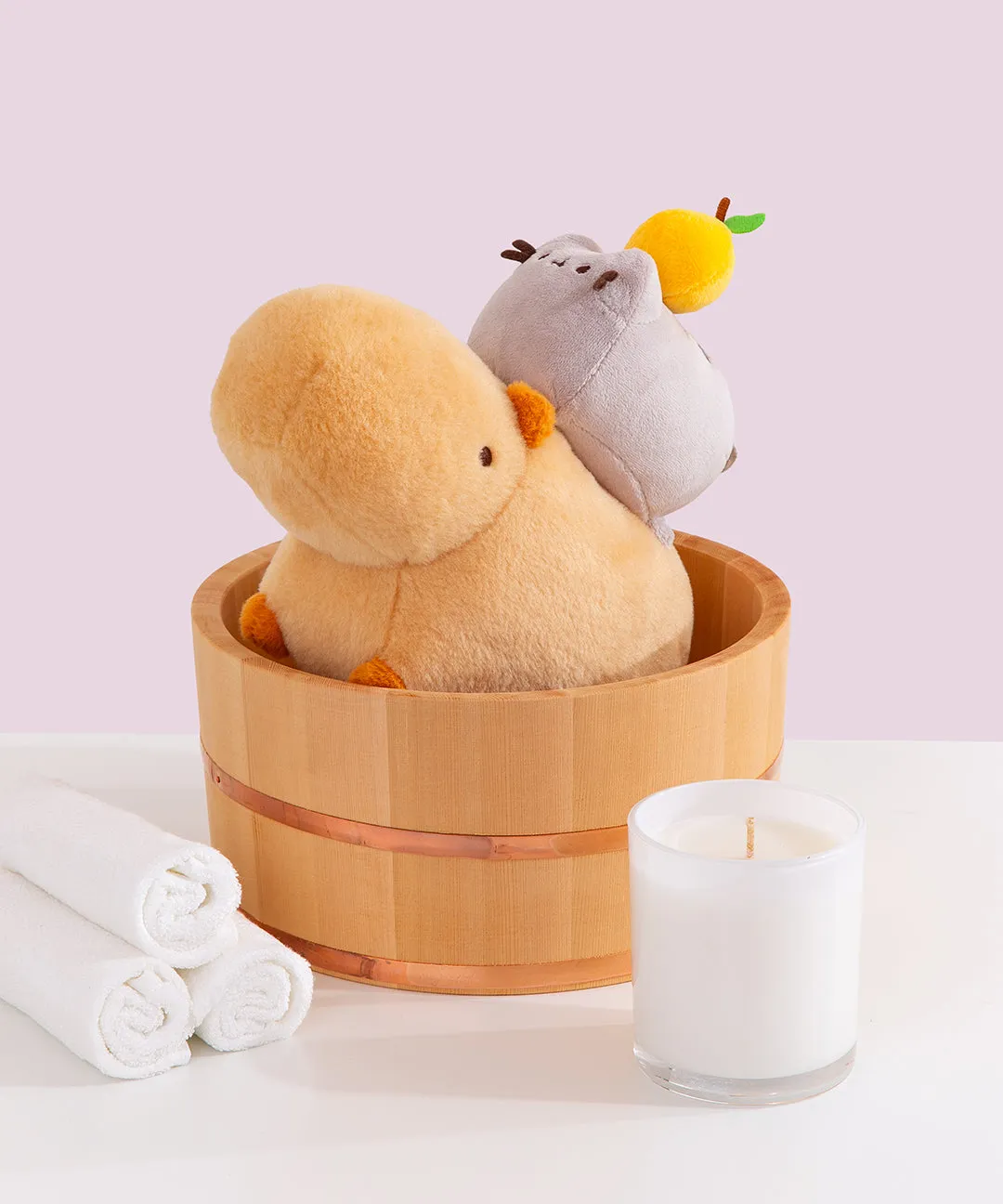 Pusheen & Capybara Plush