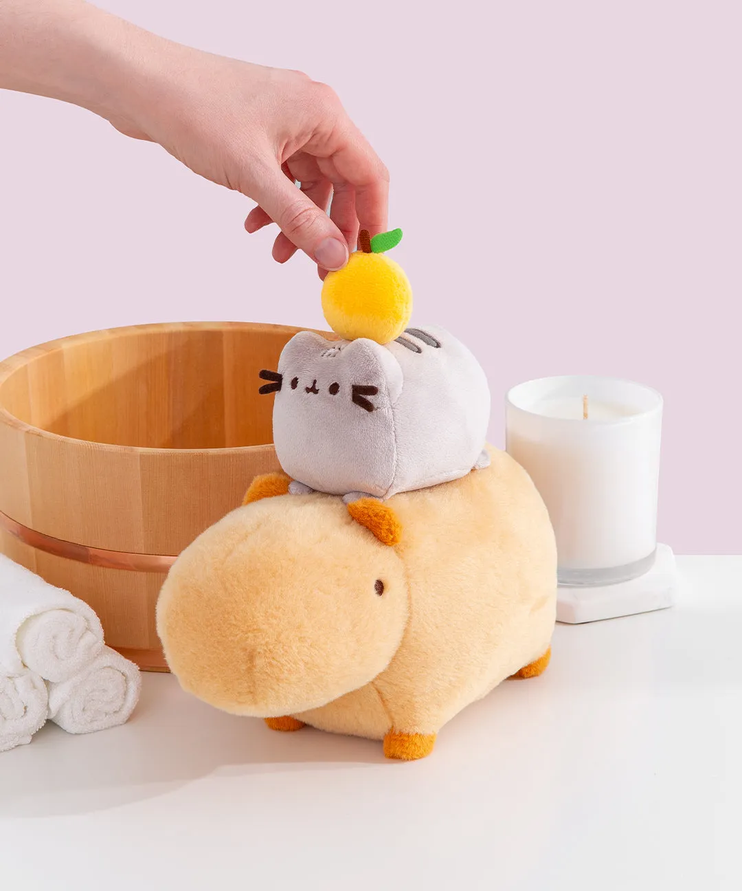 Pusheen & Capybara Plush