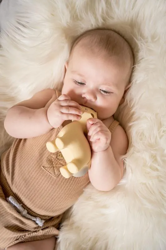 Tikiri Rubber Teether - Arctic Fox