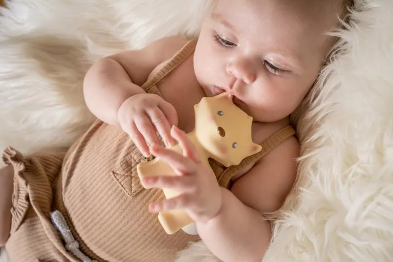 Tikiri Rubber Teether - Arctic Fox